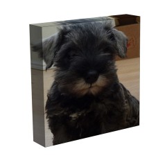 Printed Personalised Canvas - Up to 12 Inches (30cm) Longest Side